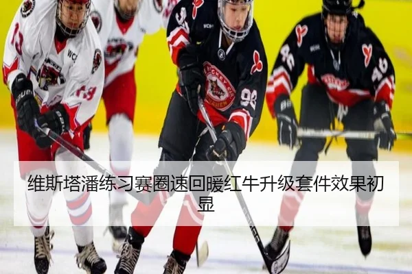 维斯塔潘练习赛圈速回暖红牛升级套件效果初显